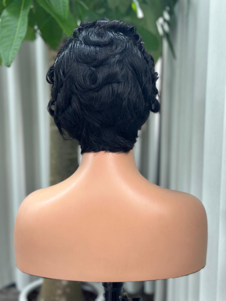 UNices Hair natural black 13x4 lace modeling curly pixie wig back view
